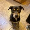 Reggie photo 11