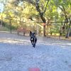 Brady photo 5