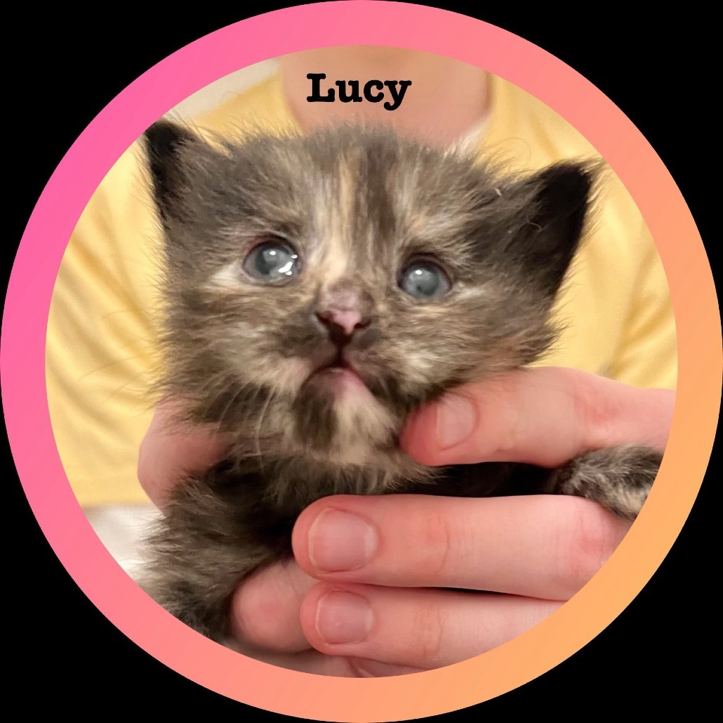 Lucy
