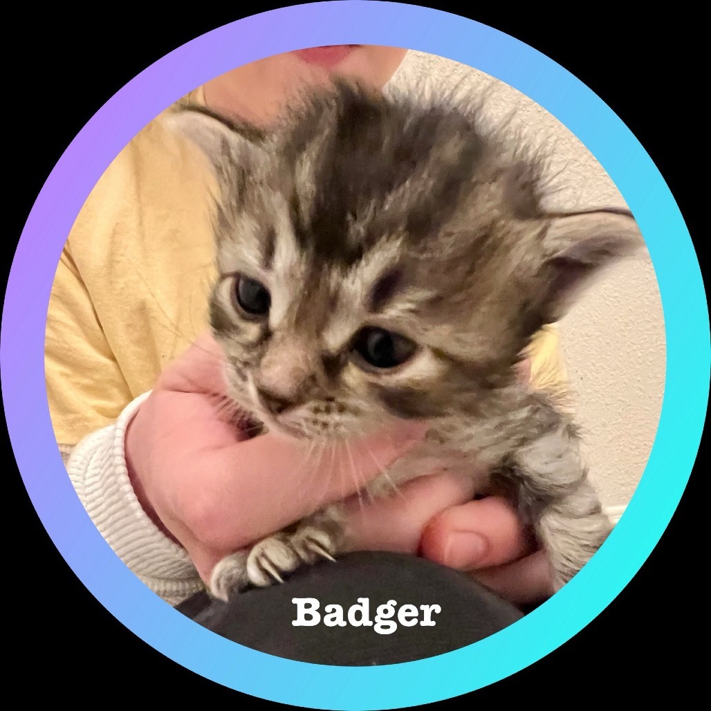 Badger