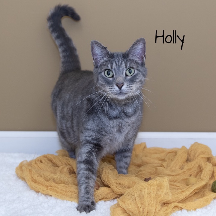 Holly