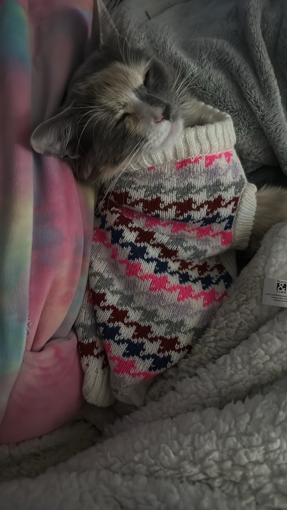 Khloe