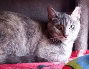 Divitia, Young Female unknown