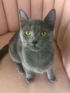 Gigi photo 2