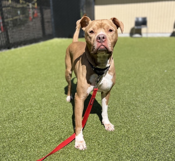 Zeus - In Foster 2