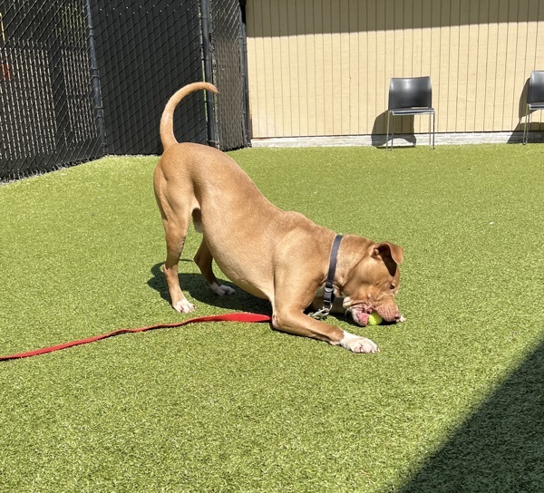 Zeus - In Foster 3