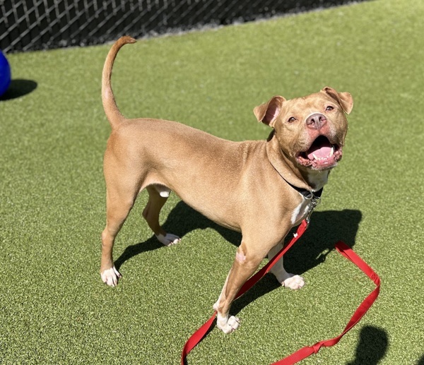Zeus - In Foster 4
