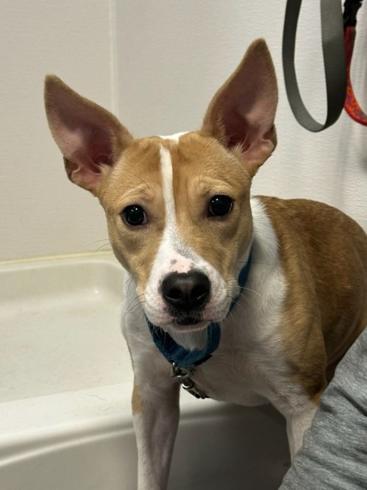 Snacks-In a Foster Home 3