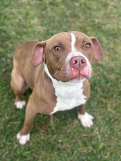 Sam