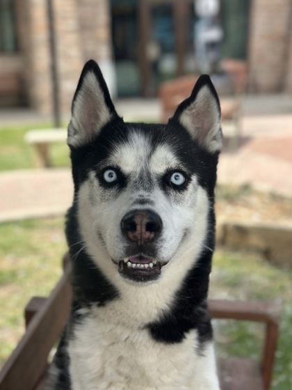 Edgar