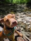 Rudi photo 2
