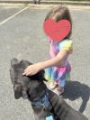 Bella photo 3