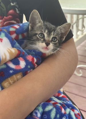 Landry is a love bug who likes being held after playing hard all day
