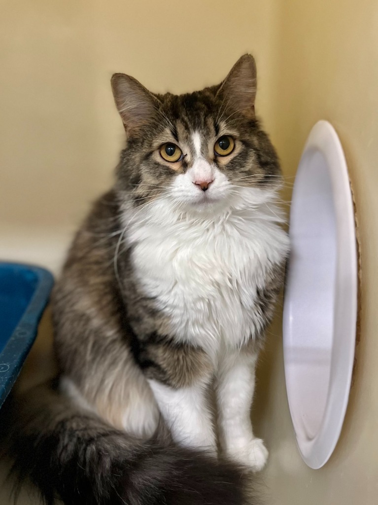 Matilda