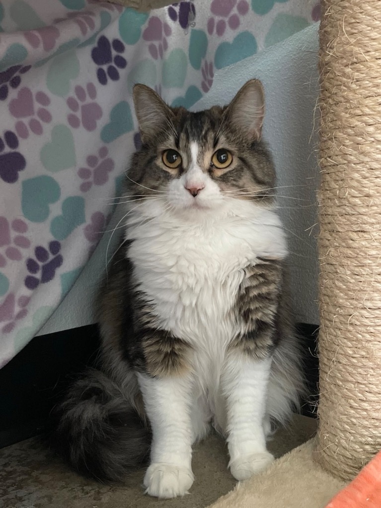 Matilda
