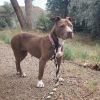 Penelope photo 4