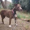 Penelope photo 5