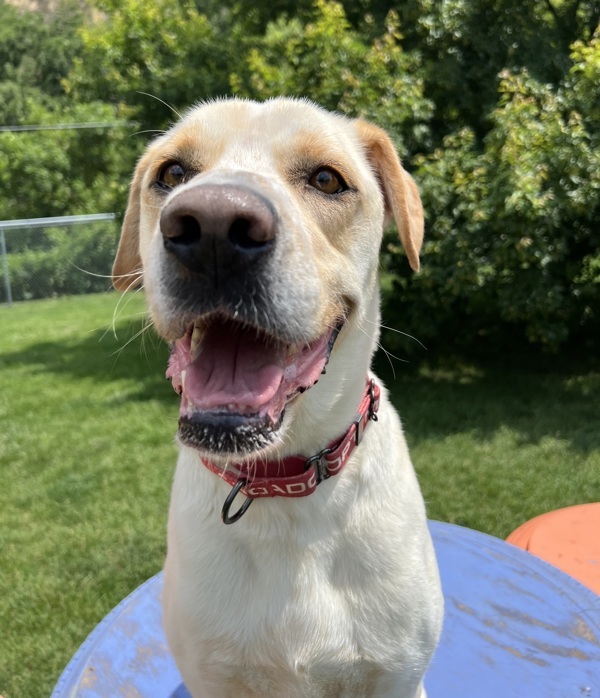 Max