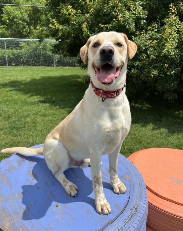 Max