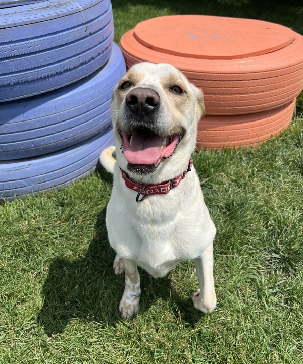 Max