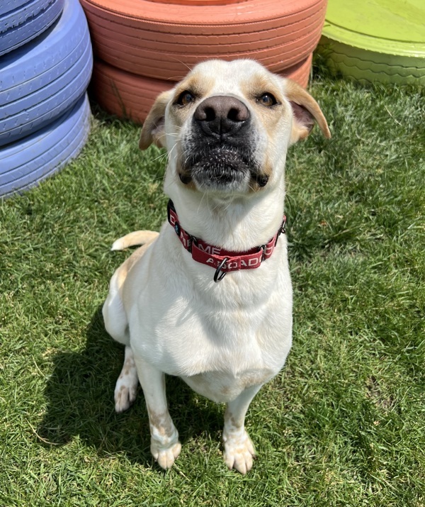 Max