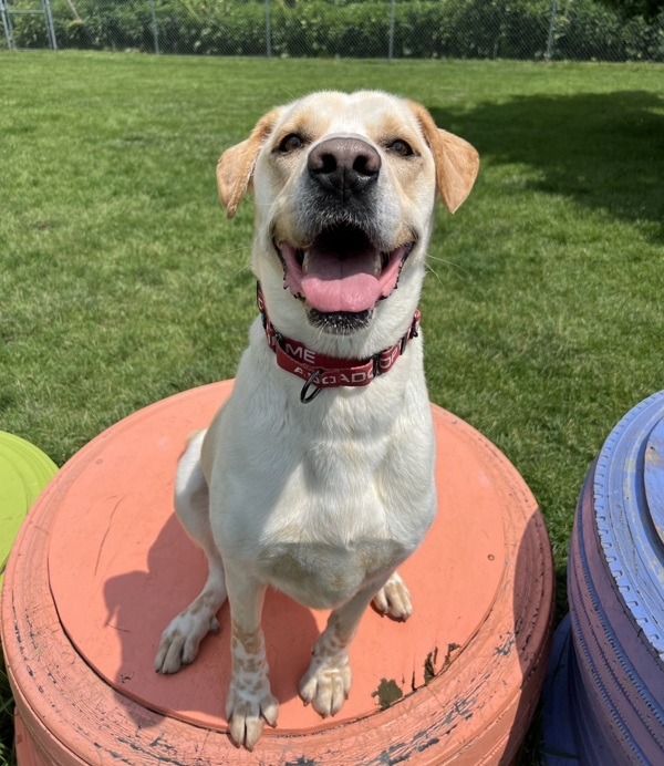 Max