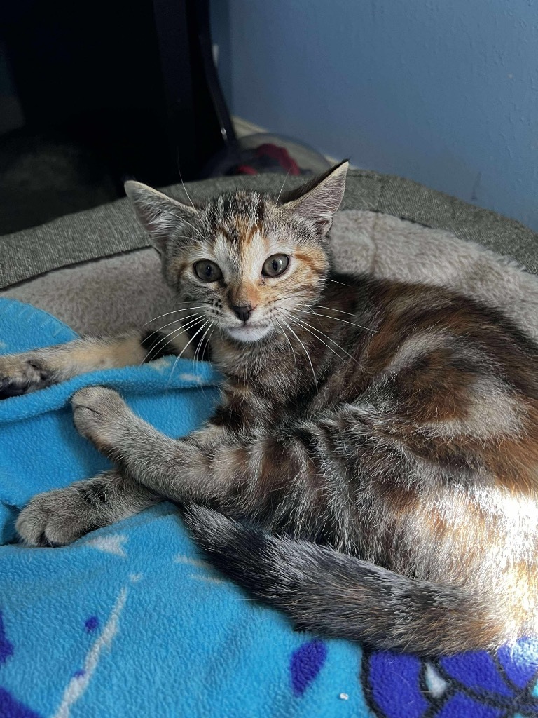 Java Bean
