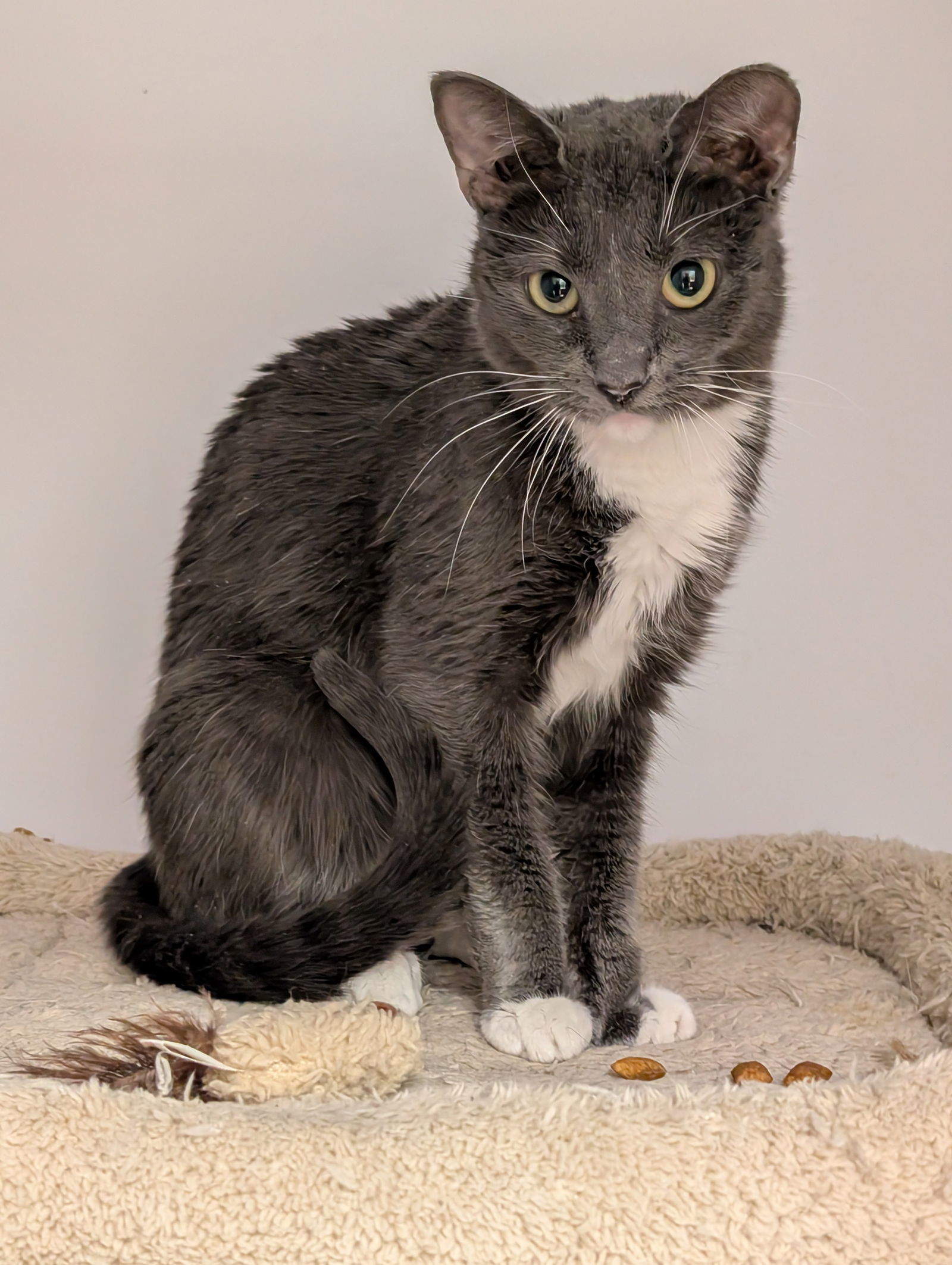 Mimi