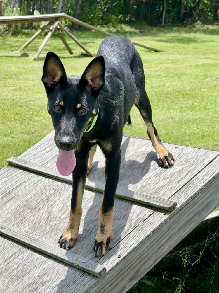 Skye