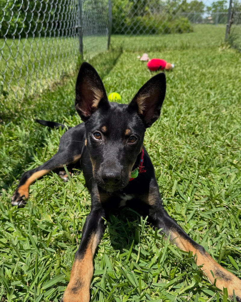 Skye