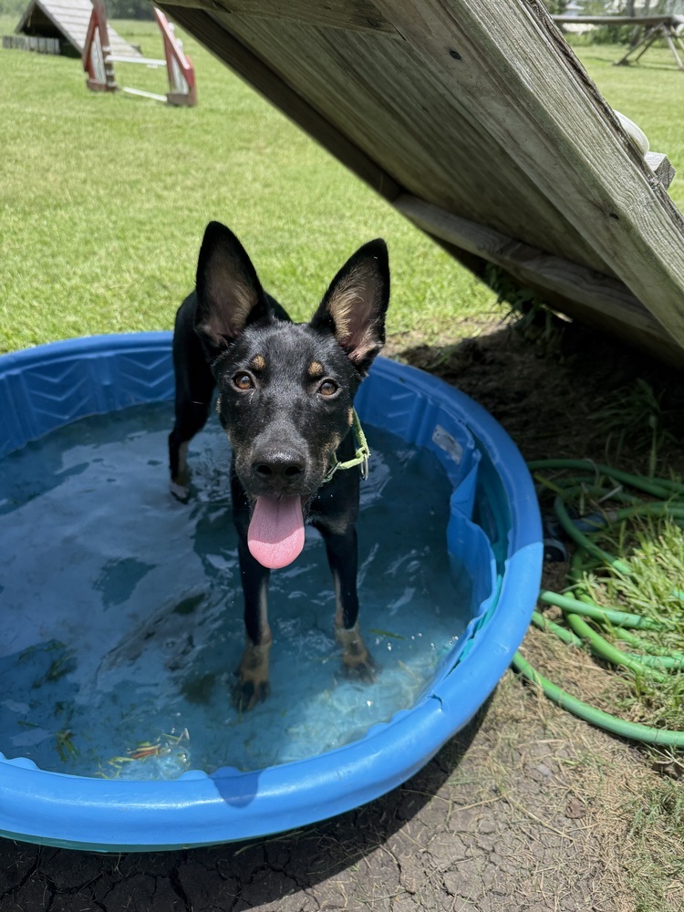 Skye