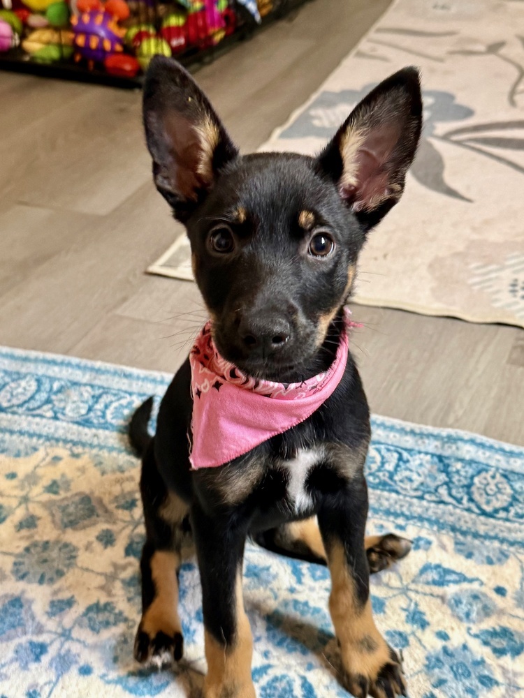 Skye