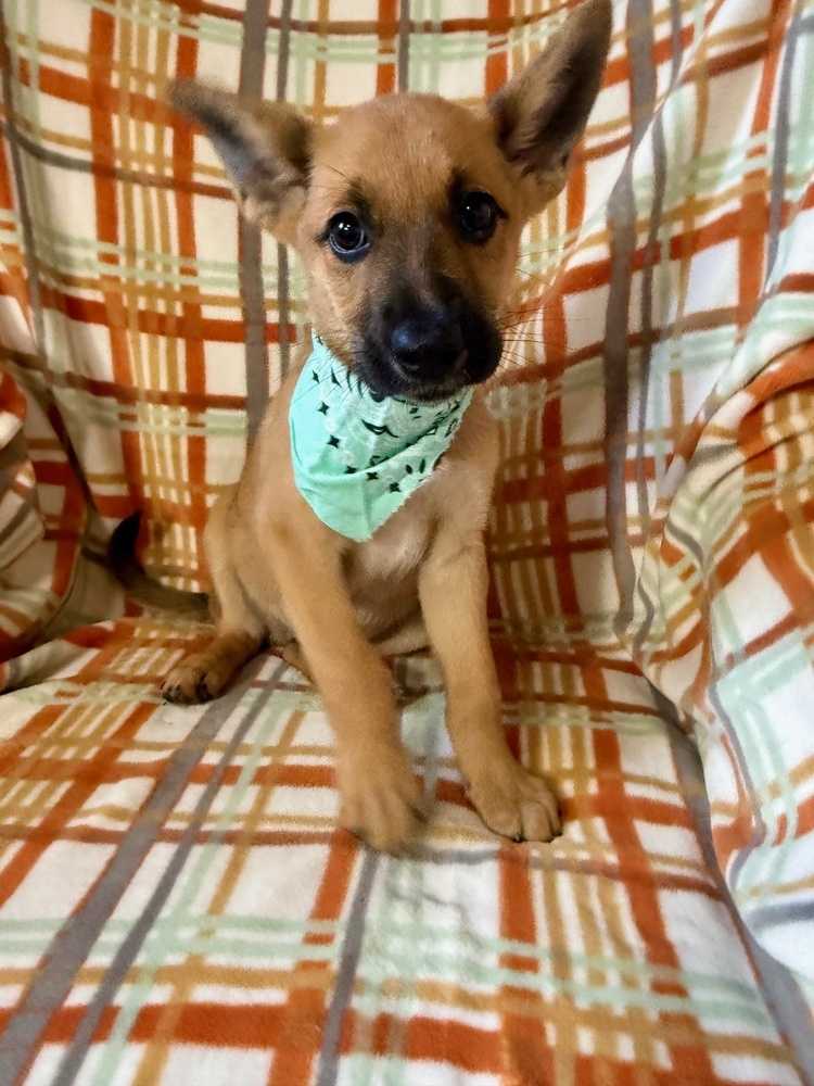 Finley