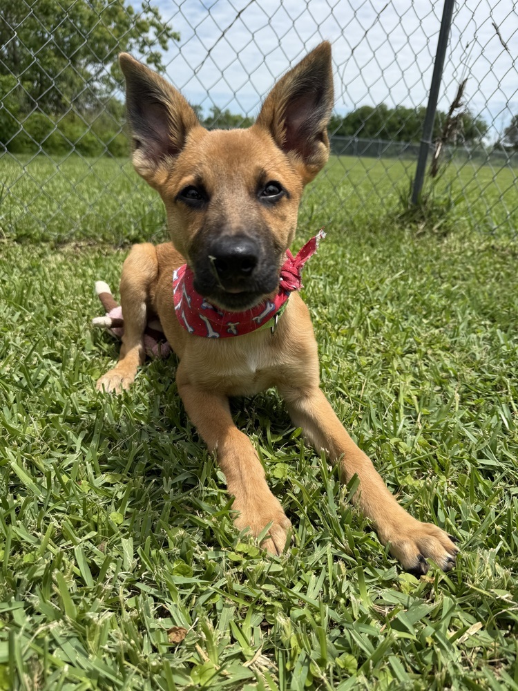 Finley