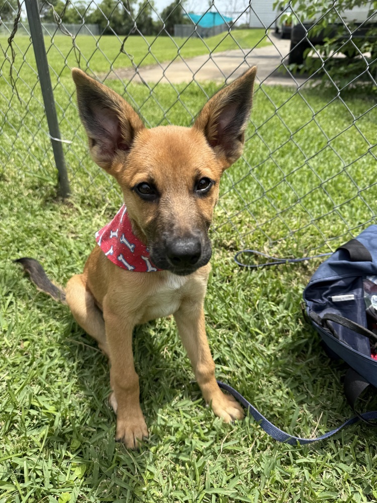 Finley