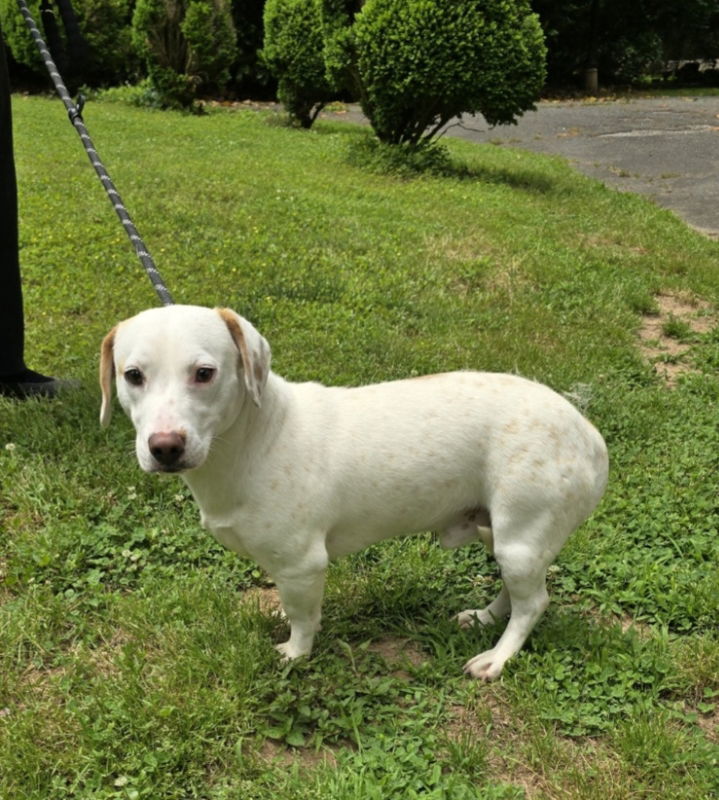 Vincent ("Vinny")