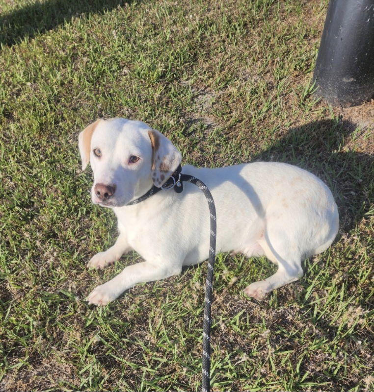 Vincent ("Vinny")