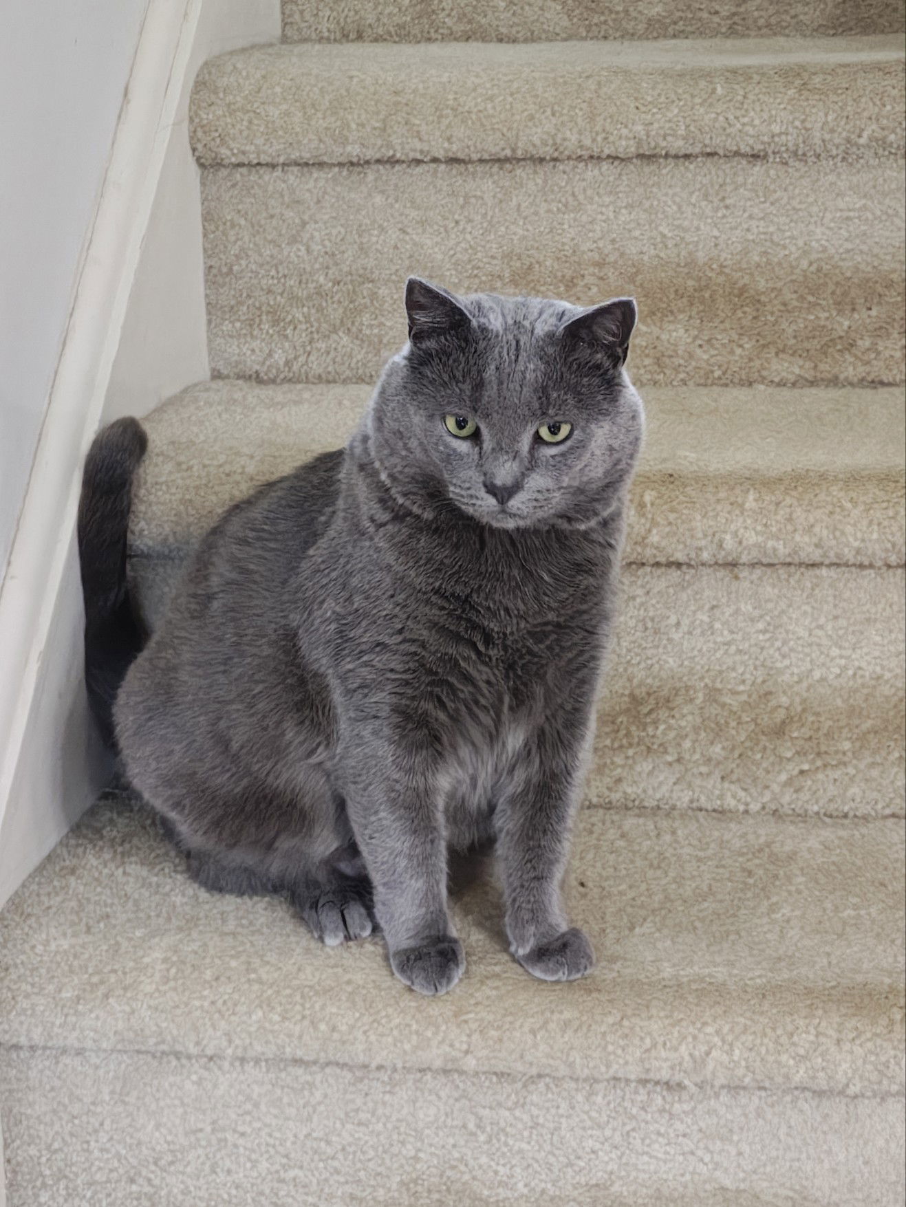 *Smokey