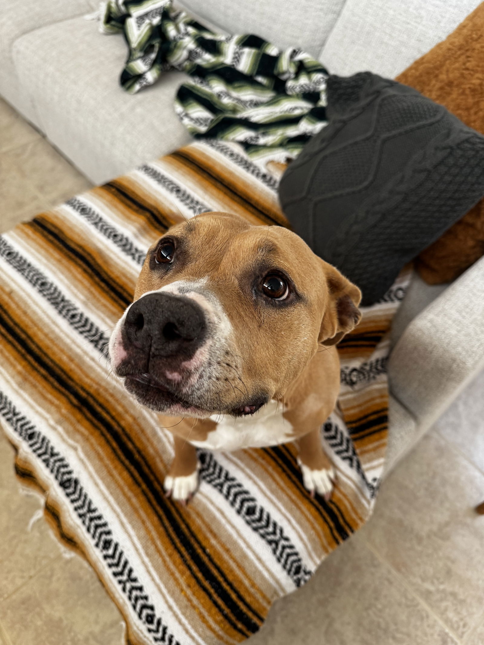 NALA #9