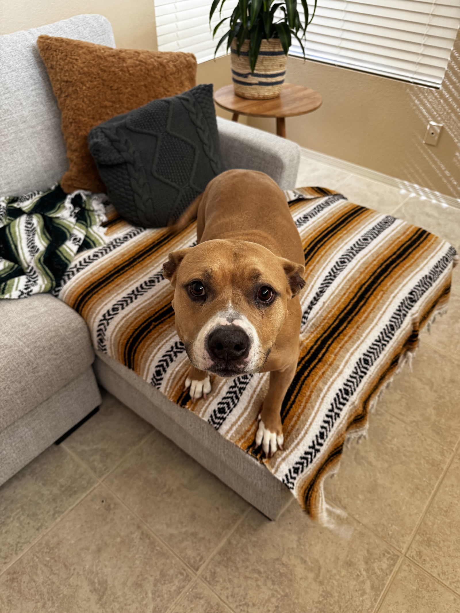 NALA #9