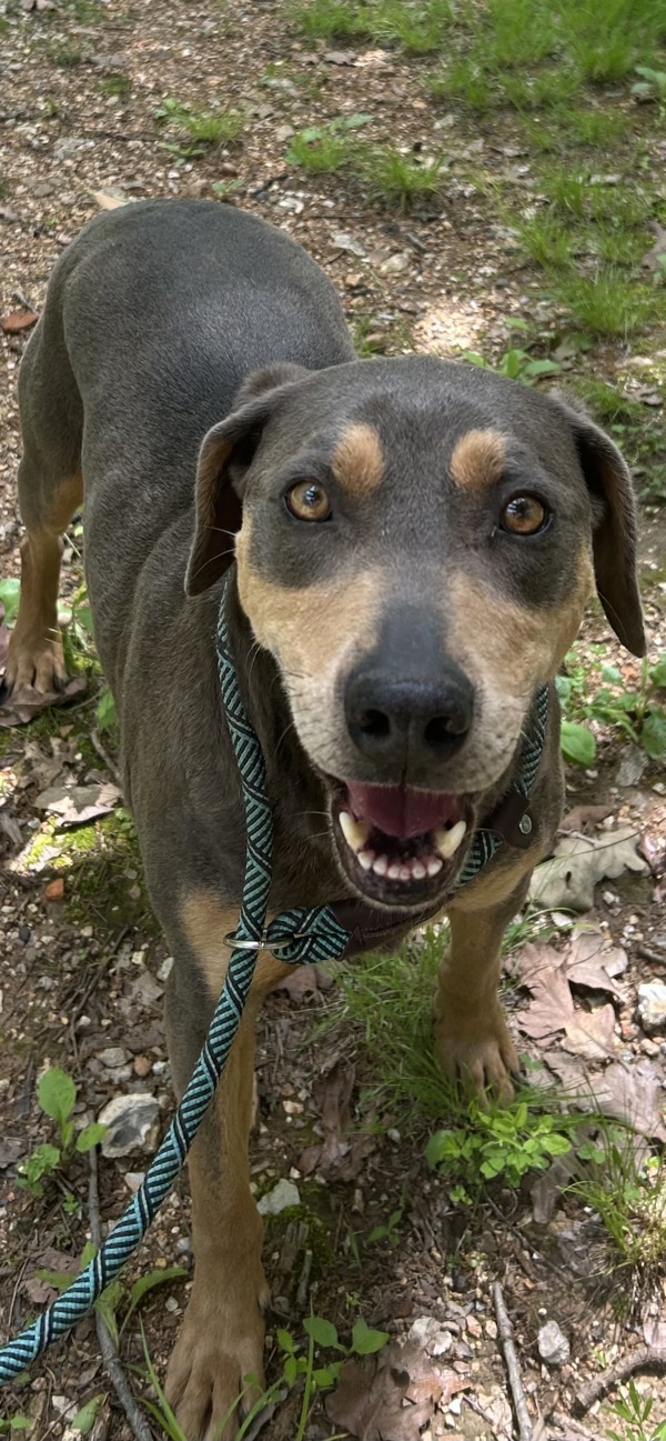 Ruger