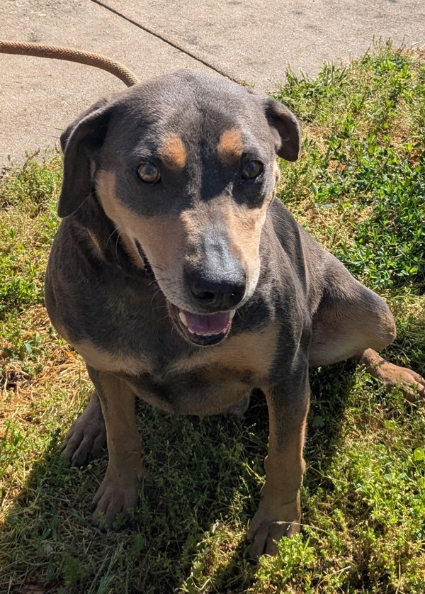 Ruger