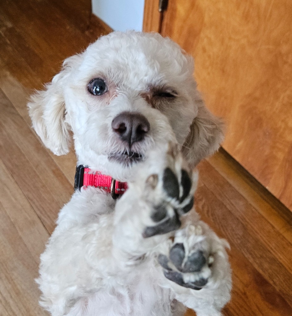 Franklin