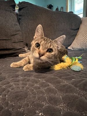 Miley, Young Female unknown