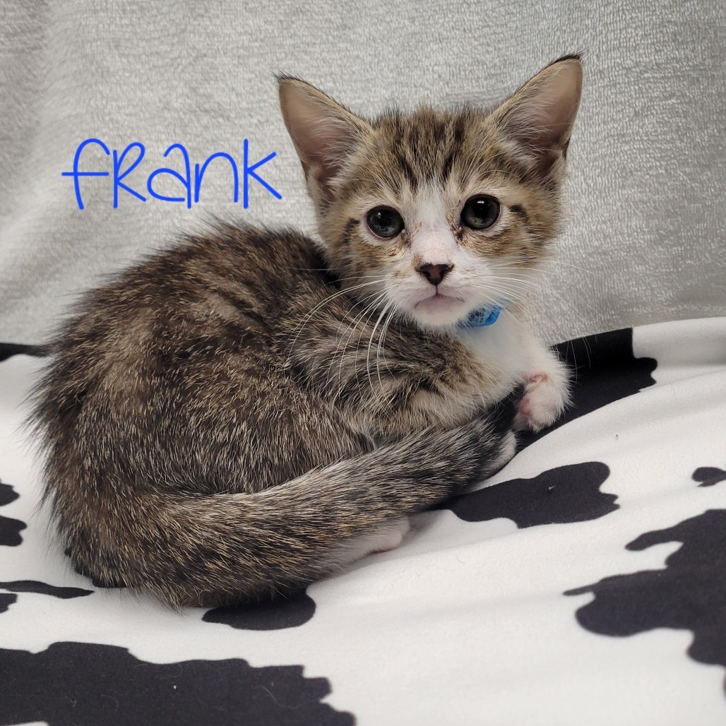Frank