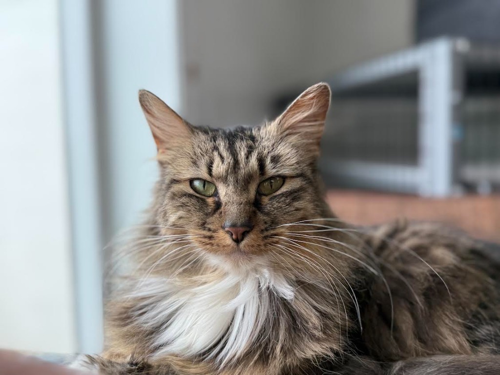 Charlie