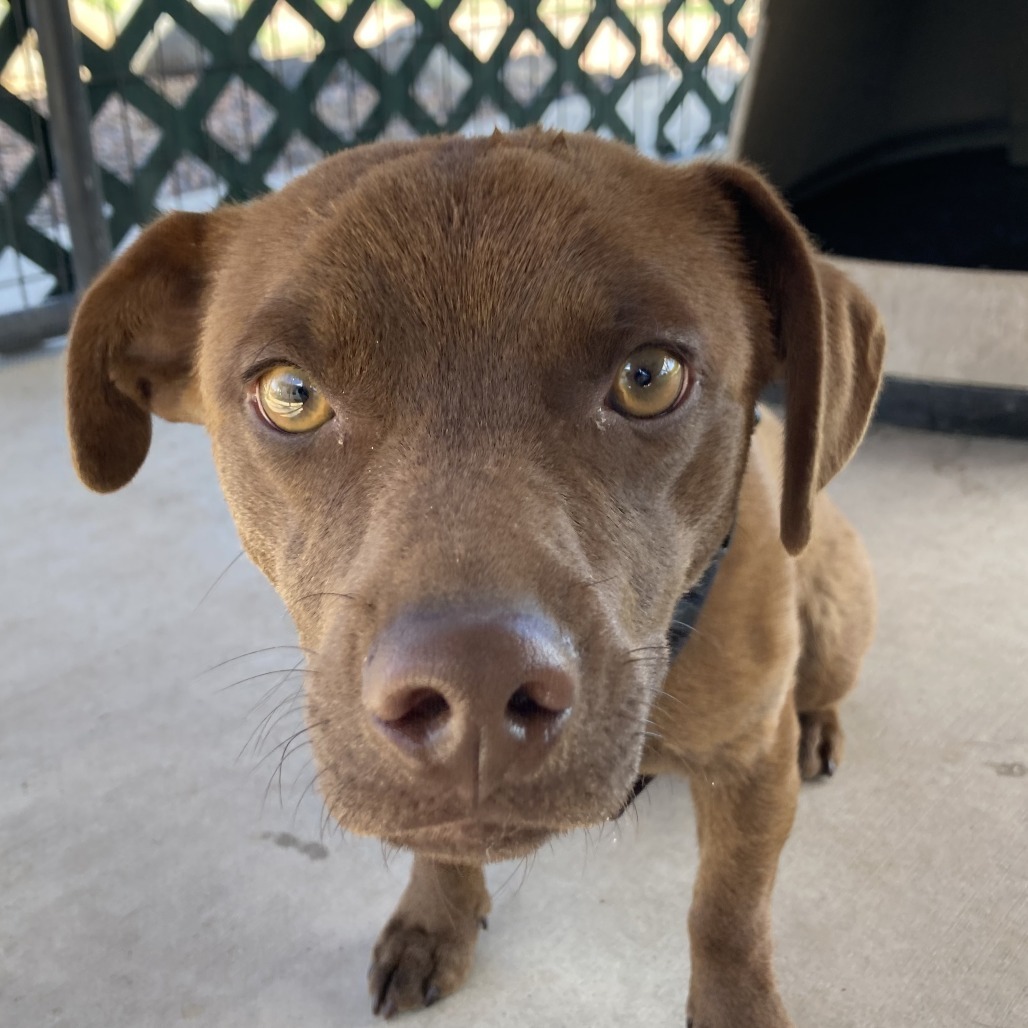 Coco