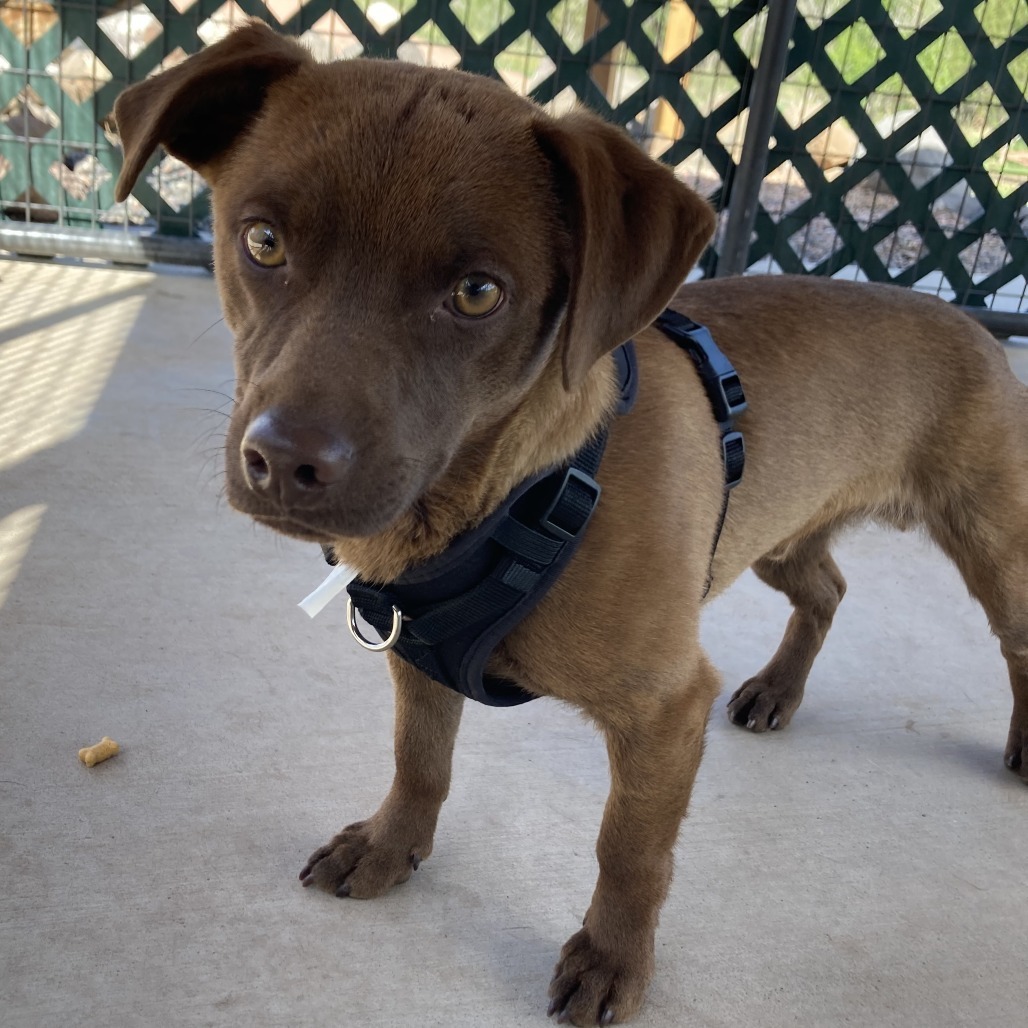 Coco