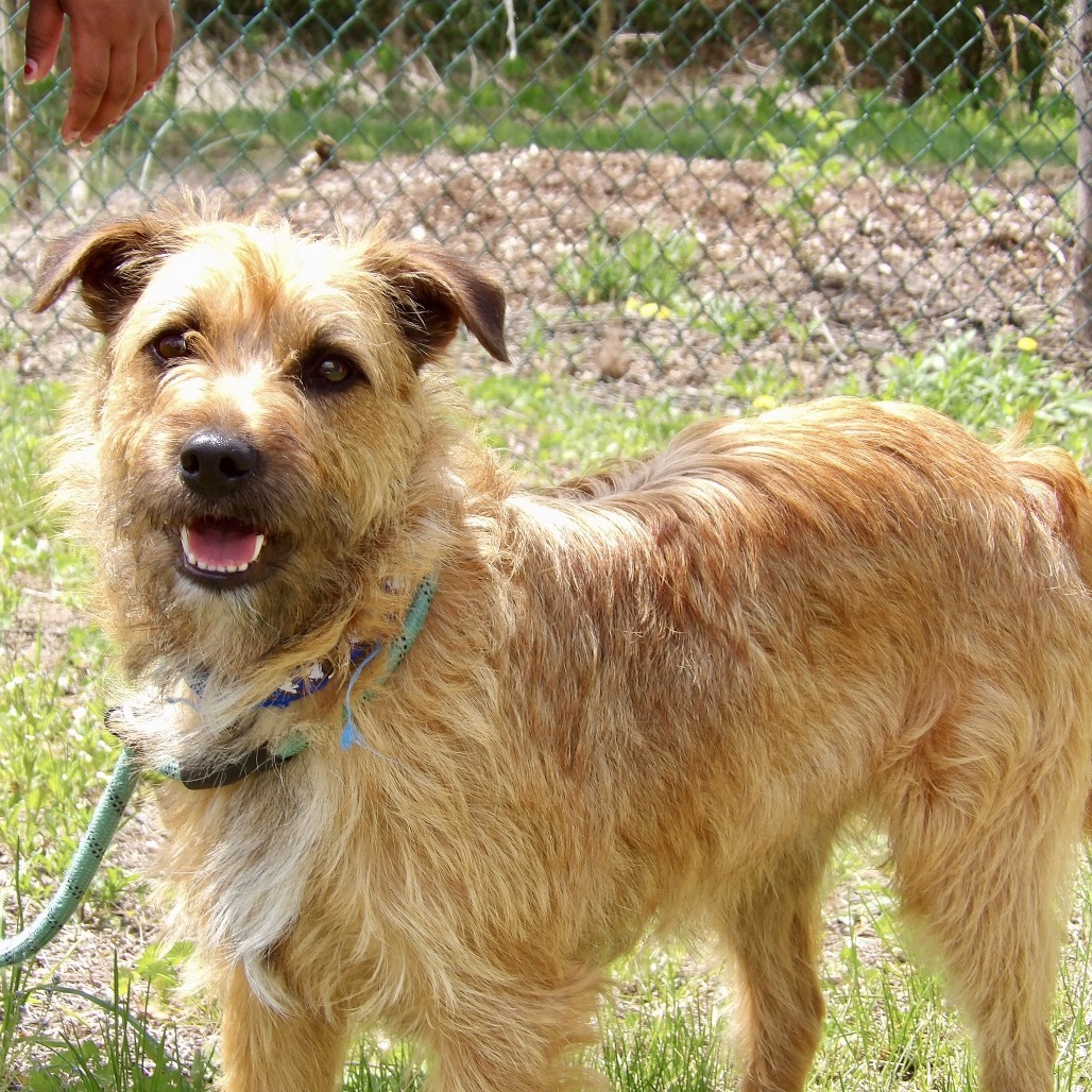 Shadow (In Foster)