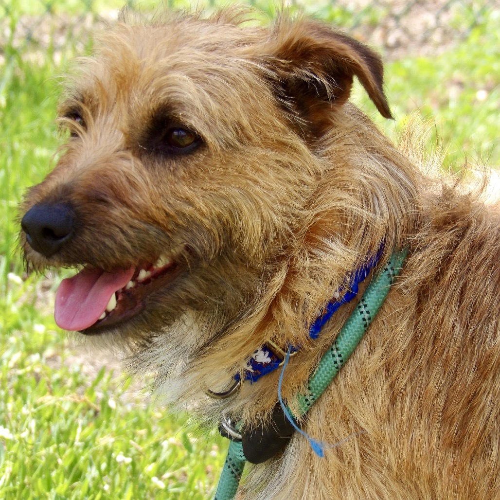 Shadow (In Foster)